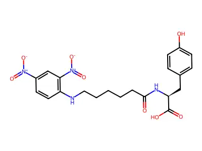 2,4-Dinitrophenylaminocaproyltyrosine structure