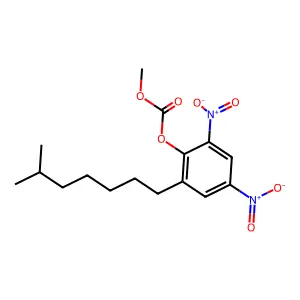 Dinocton structure