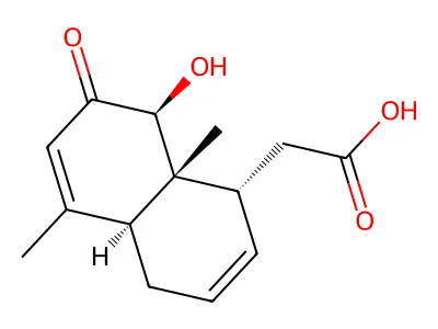 o-vanillyl methyl ether structure