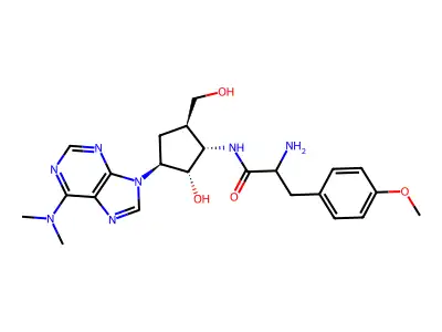 Carbocyclic puromycin structure