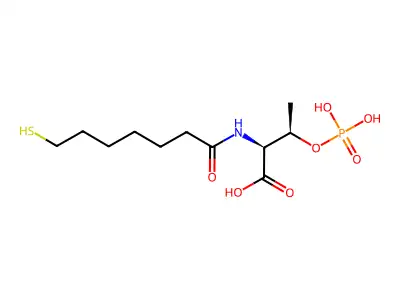 輔酶B structure