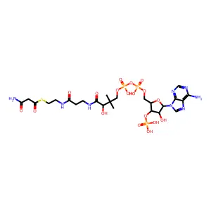 Malonamoyl-CoA structure