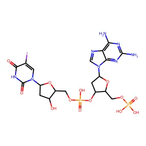 Poly(2-aminodeoxyadenylate-5-iododeoxyuridylate) structure