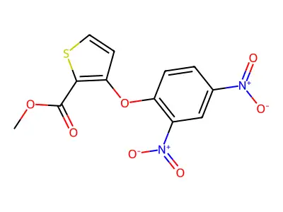 Methyl 3-(2,4-dinitrophenoxy)thiophene-2-carboxylate structure