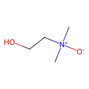 2-(Dimethylamino)ethanol N-oxide structure