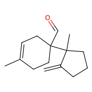 1-Tert-butylpyrrolidine-2,5-dione structure