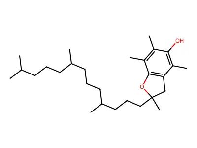 Tmtd-BF structure