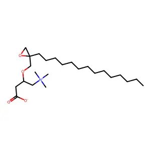2-Tetradecylglycidylcarnitine structure