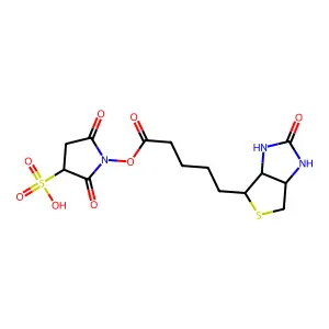 生物素基-N-羟基磺基琥珀酰亚胺酯 structure