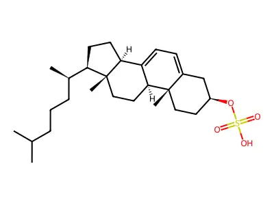 7-Dehydrocholesterol-3-sulfate ester structure