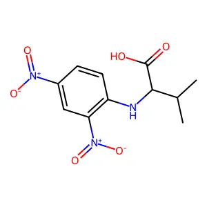 2-(2,4-Dinitroanilino)-3-methylbutanoic acid structure