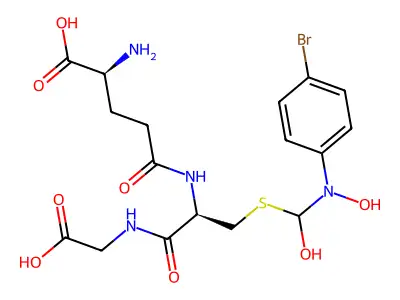 Hbpc cgsh structure