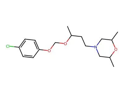 H-152/81 structure