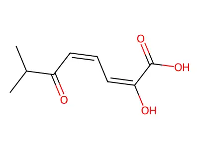 2-羟基-6-氧代-7-甲基辛-2,4-二烯酸 structure