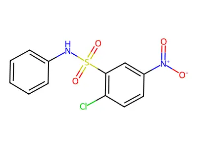Benzenesulfonamide, 2-chloro-5-nitro-N-phenyl- structure