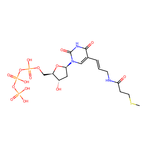MT-Dutp structure