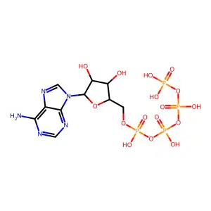 二腺苷四磷酸 structure