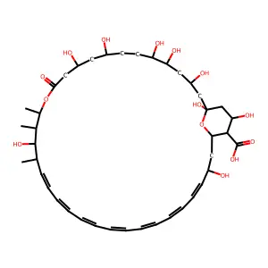 Amphoteronolide B structure