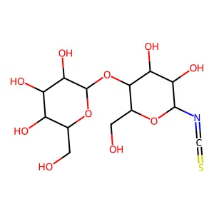 Lactosyl isothiocyanate structure