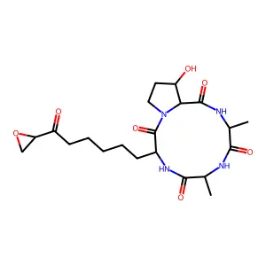 Toxin III (Helminthosporium carbonum) structure