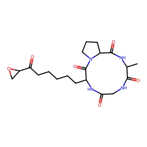 Toxin Ii (helminthosporium Carbonum) structure