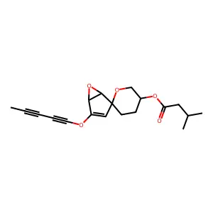Lactiflorasyne structure
