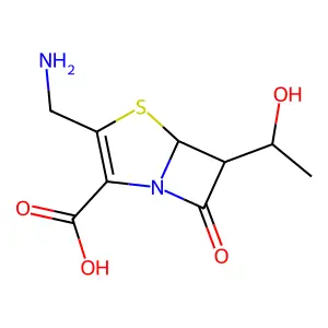 Antibiotic CGP 31608 structure