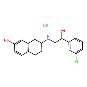 SR 58339A structure