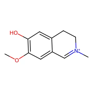 Isopycnarrhine structure