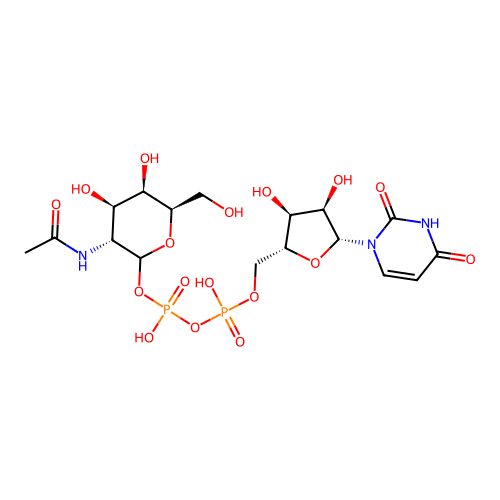 UDP-N-acetyl-D-galactosamine structure