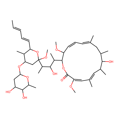 HS-6, N. Otitidiscaviarum structure