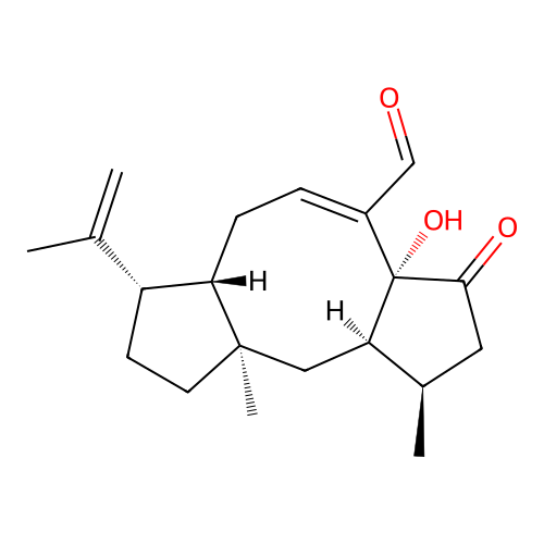 Traversianal structure