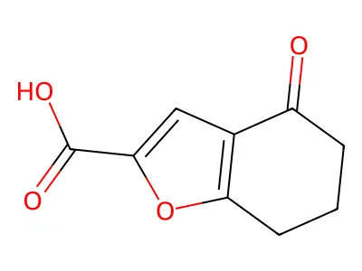 4-Oxo-4,5,6,7-tetrahydrobenzofuran-2-carboxylic acid structure