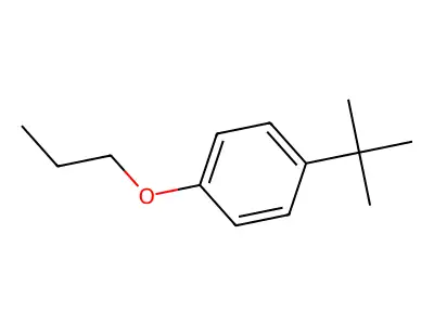 1-Tert-butyl-4-propoxybenzene structure