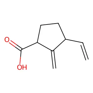 Cyclopentanecarboxylicacid, 3-ethenyl-2-methylene- structure