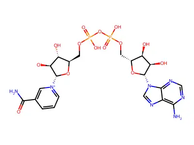 烟酰胺阿拉伯糖腺嘌呤二核苷酸 structure