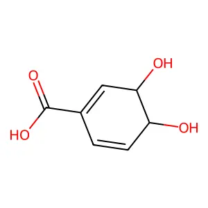 3,4-Dihydroxy-3,4-dihydrobenzoic acid structure