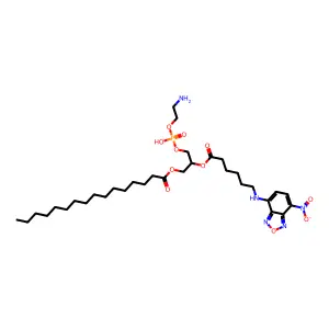 1,2-(palmitoyl-NBD-aminocaproyl)phosphatidylethanolamine structure