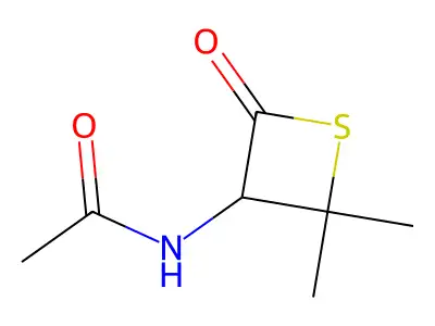 Acetamide, N-(2,2-dimethyl-4-oxo-3-thietanyl)- structure