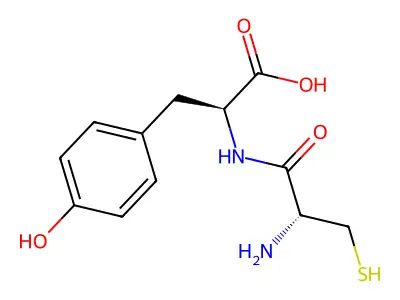 Cysteinyltyrosine structure
