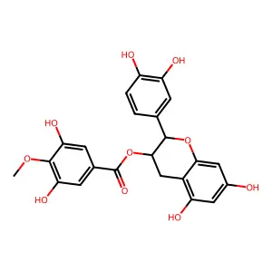 Epicatechin 3-O-(4-O-methylgallate) structure