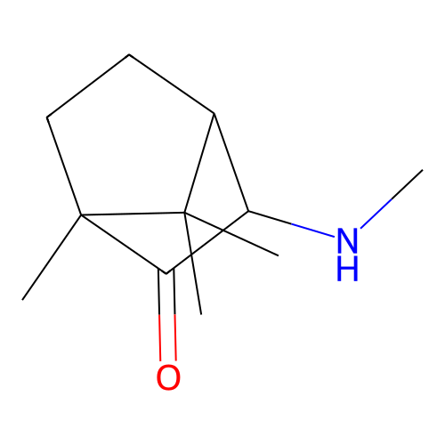 Endo-3-acetamidocamphor structure