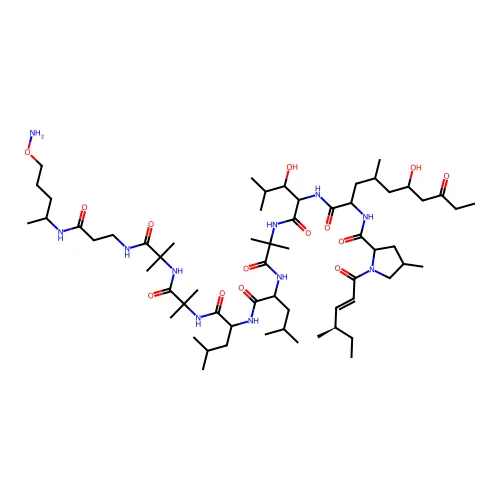 N-[1-[[1-[[1-[[1-[[1-[[1-[[1-[[3-(5-氨基氧代戊烷-2-基氨基)-3-氧代丙基]氨基]-2-甲基-1-氧代异丙基]氨基]-2-甲基-1-氧代异丙基]氨基]-4-甲基-1-氧代戊烷-2-基]氨基]-4-甲基-1-氧代戊烷-2-基]氨基]-2-甲基-1-氧代异丙基]氨基]-3-羟基-4-甲基-1-氧代戊烷-2-基]氨基]-6-羟基-4-甲基-1,8-二氧代癸烷-2-基]-4-甲基-1-[(E,4R)-4-甲基己-2-烯酰]吡咯烷-2-甲酰胺 structure