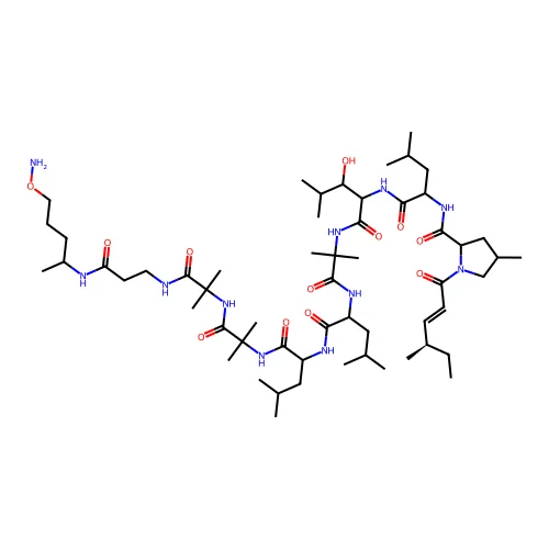 N-[1-[[1-[[1-[[1-[[1-[[1-[[1-[[3-(5-氨基氧代戊烷-2-基氨基)-3-氧代丙基]氨基]-2-甲基-1-氧代异丙基]氨基]-2-甲基-1-氧代异丙基]氨基]-4-甲基-1-氧代戊烷-2-基]氨基]-4-甲基-1-氧代戊烷-2-基]氨基]-2-甲基-1-氧代异丙基]氨基]-3-羟基-4-甲基-1-氧代戊烷-2-基]氨基]-4-甲基-1-氧代戊烷-2-基]-4-甲基-1-[(E,4R)-4-甲基己-2-烯酰]吡咯烷-2-甲酰胺 structure