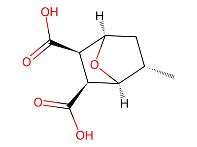 endo-5-Methylendothal structure