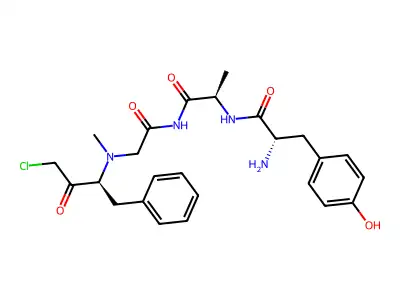 Tyrosyl-alanyl-glycyl-N(alpha)-methylphenylalanine chloromethyl ketone structure
