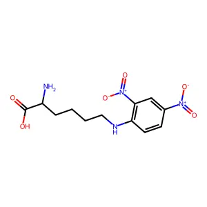N6-(2,4-Dinitrophenyl)-L-lysine structure