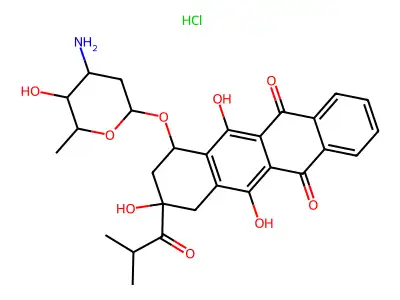 Datmpn structure
