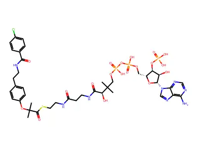 Bezafibroyl-coenzyme A structure