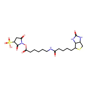 Sulfosuccinimidyl 6-(biotinamido)hexanoate structure